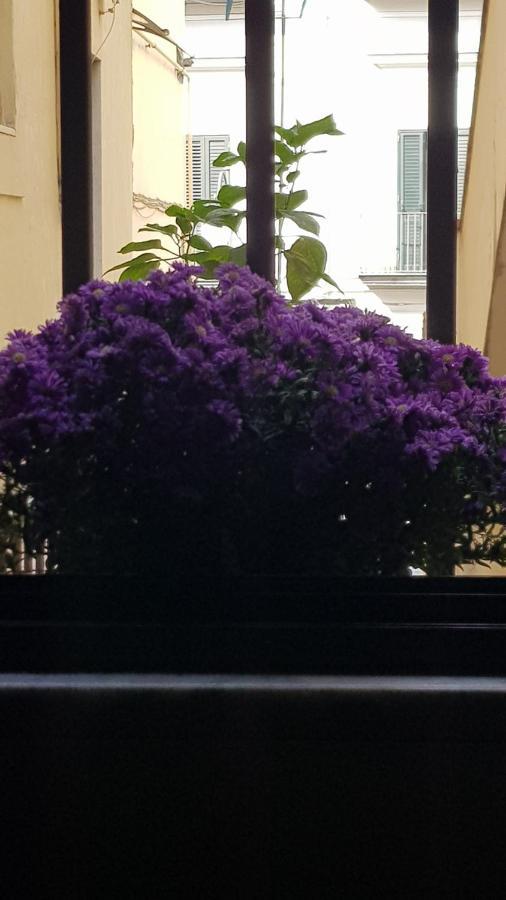 Il Giardino Sul Corso Lägenhet Scafati Exteriör bild