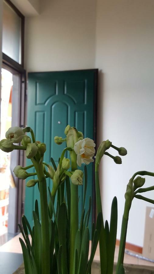 Il Giardino Sul Corso Lägenhet Scafati Exteriör bild